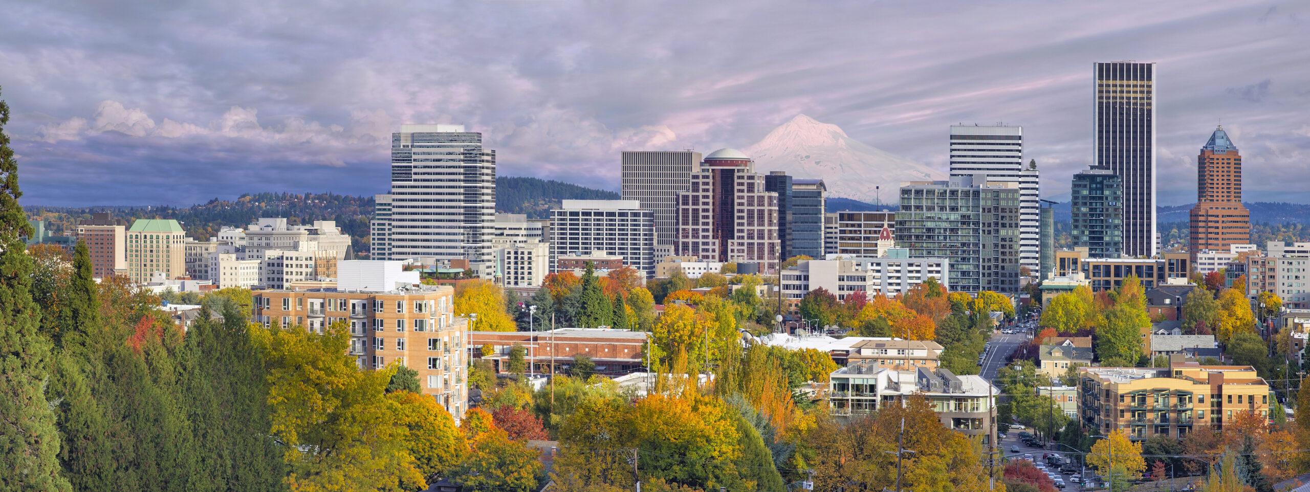 A city sky line view of Portland in fall time